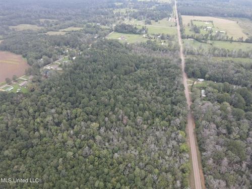 42 Acres For Sale With Old Country : Forest : Scott County : Mississippi
