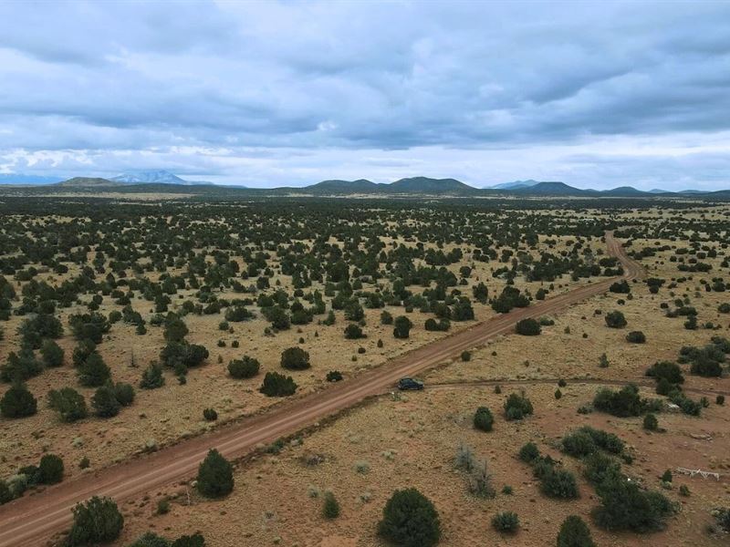 Corner Gem, Wooded & Ready, $275/Mo : Williams : Coconino County : Arizona