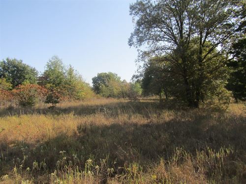 Prime Hidden Development or Hunting : Boswell : Choctaw County : Oklahoma