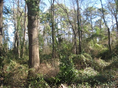 2.95 Acres in Texarkana, Texas : Texarkana : Bowie County : Texas