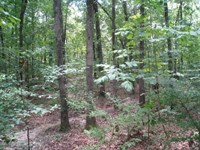 2.14 Acres in Texarkana, Arkansas : Texarkana : Miller County : Arkansas