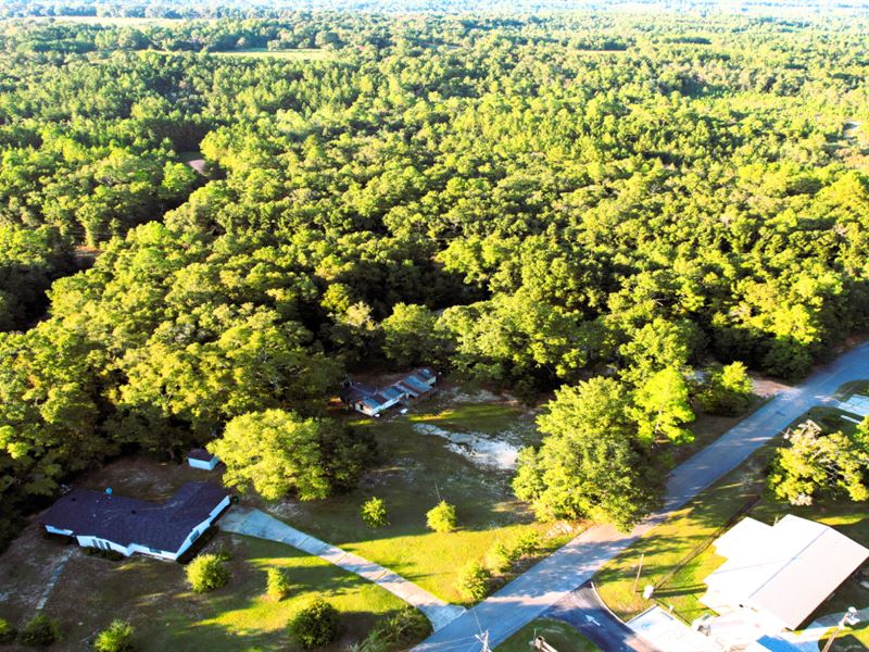 Rural Luxury Freedom Awaits : Citronelle : Mobile County : Alabama