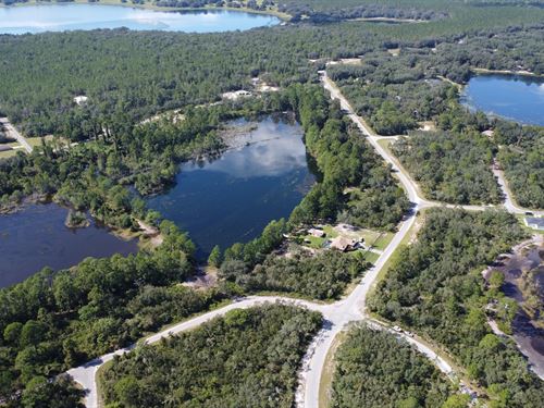 Embrace Lakeside Living : Ocklawaha : Marion County : Florida