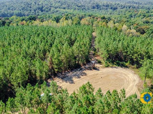 Hurricane Southeast Tract 3 : Stewart : Tennessee