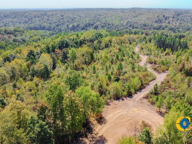 Hurricane Southeast Tract 2 : Stewart : Stewart County : Tennessee