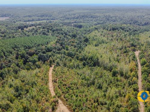 Hurricane Southeast Tract 1 : Stewart : Tennessee