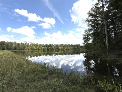 634 Acres In Montgomery County, MS : Winona : Montgomery County : Mississippi