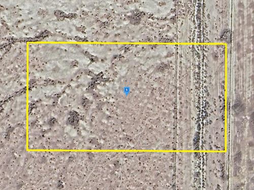 Live and Farm : Mojave : Kern County : California