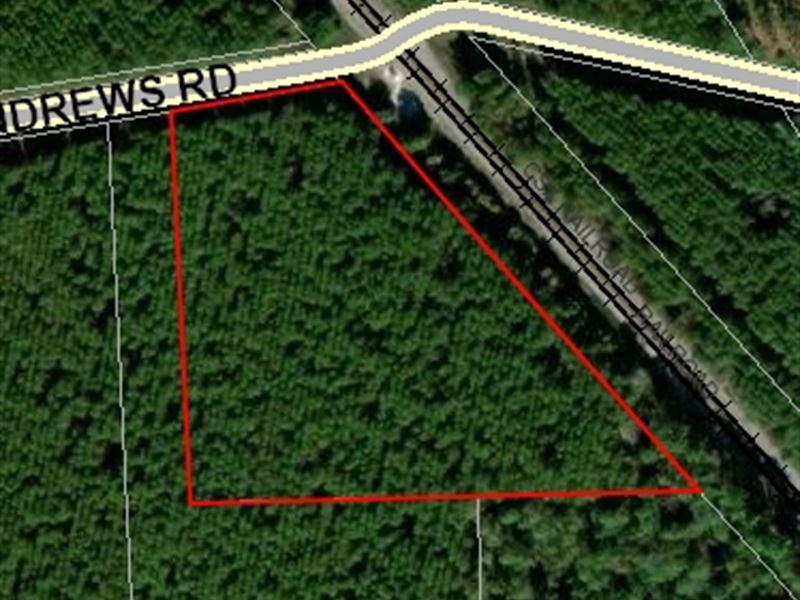 Andrew's Grove Lot 1 : Hilliard : Nassau County : Florida