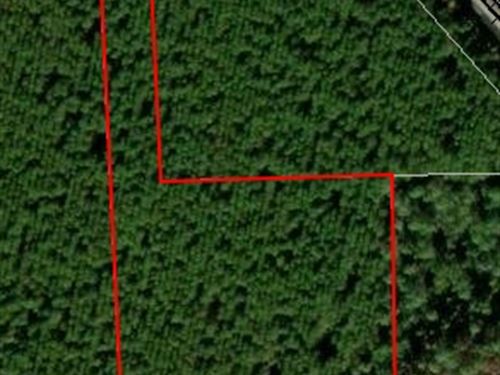 Andrew's Grove Lot 2 : Hilliard : Nassau County : Florida