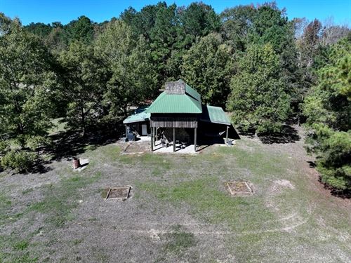 Large Hunting Tract with Cabin : Elizabethtown : Bladen County : North Carolina