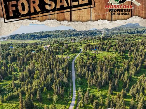 2 Undeveloped View Lots Totaling 2 : Ninilchik : Kenai Peninsula Borough : Alaska