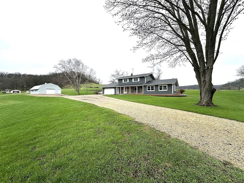 Meadowlark Delight : Richland Center : Richland County : Wisconsin