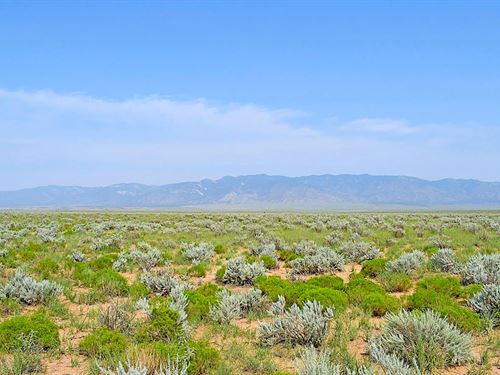 Invest in New Mexico Paradise : Belen : Valencia County : New Mexico