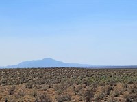 Invest in New Mexico Paradise : Belen : Valencia County : New Mexico