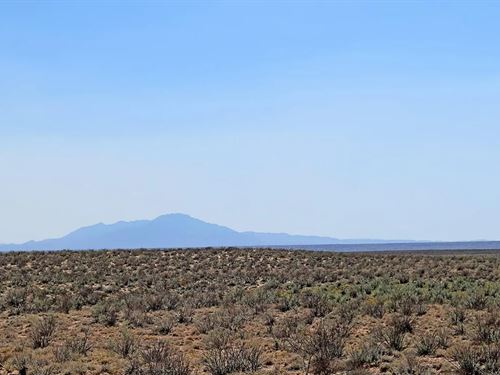 Invest in New Mexico Paradise : Belen : Valencia County : New Mexico