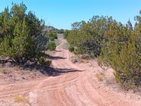 $50 Down 1.15 Acre, We Have More : Sanders : Apache County : Arizona