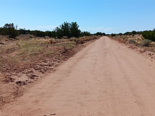 Own 1.24 Acres of Paradise : Chambers : Apache County : Arizona