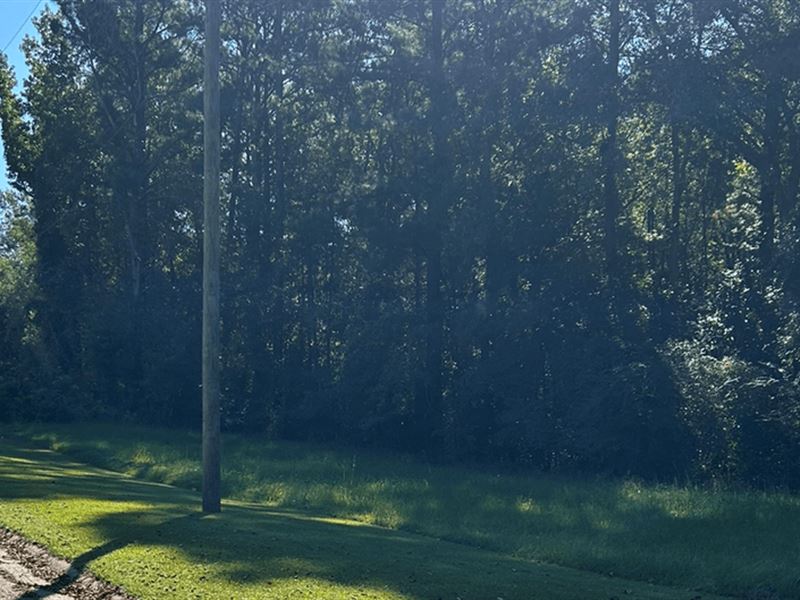 .5 Acre Lot in Covington County : Collins : Covington County : Mississippi