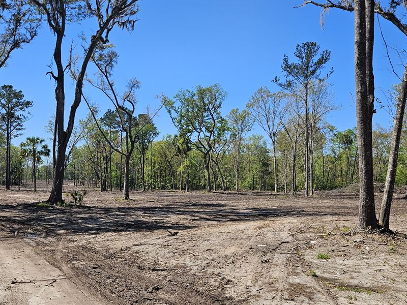 62 Acres in Micanopy, Florida : Micanopy : Marion County : Florida
