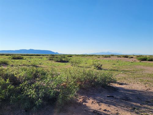 40 Luna County Acres for Sale : Deming : Luna County : New Mexico