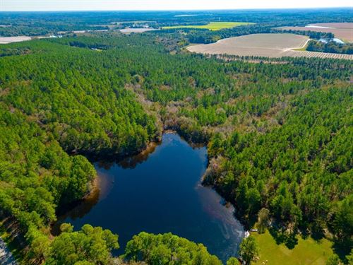 Crisp Pond Property : Cordele : Crisp County : Georgia