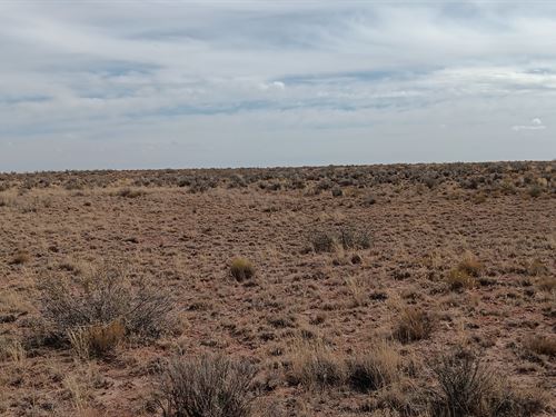 Summer Sale $17.76 Down 1 Acre AZ : Holbrook : Apache County : Arizona
