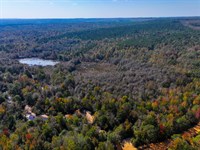 Autauga County 320 Acres : Deatsville : Autauga County : Alabama