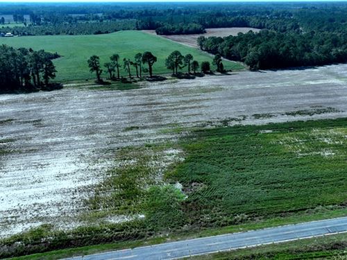 Estate Size Residential Lot Or Farm : Fairmont : Robeson County : North Carolina