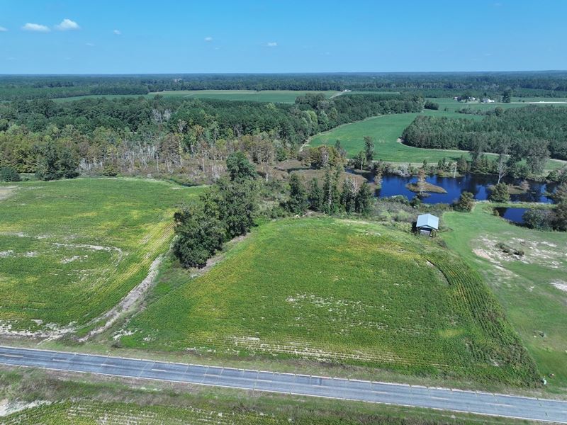 Rural Residential or Farm Land : Fairmont : Robeson County : North Carolina