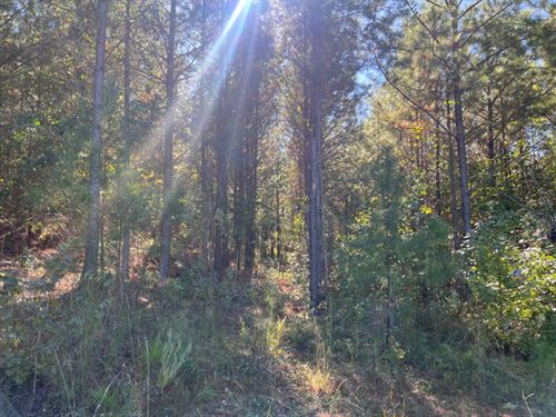 Logtown Retreat : Thomaston : Upson County : Georgia