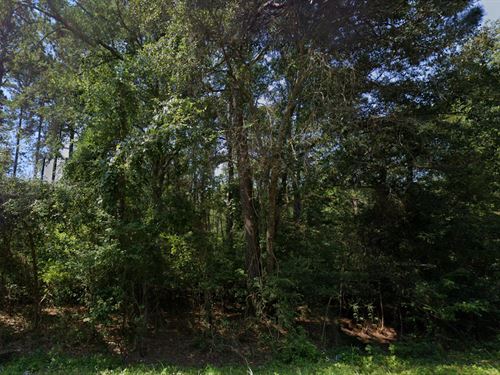 Home Only 2 Hours to Dallas : Ore City : Marion County : Texas