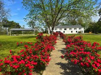 Uncle Henry's, Historic Moon Lake : Dundee : Coahoma County : Mississippi