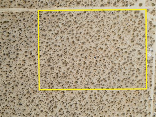 Off-Grid Living & Farming : Pearblossom : Los Angeles County : California