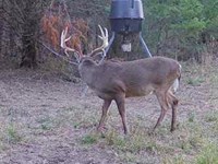 3-051 Hall Brothers Farm : Montgomery : Alabama