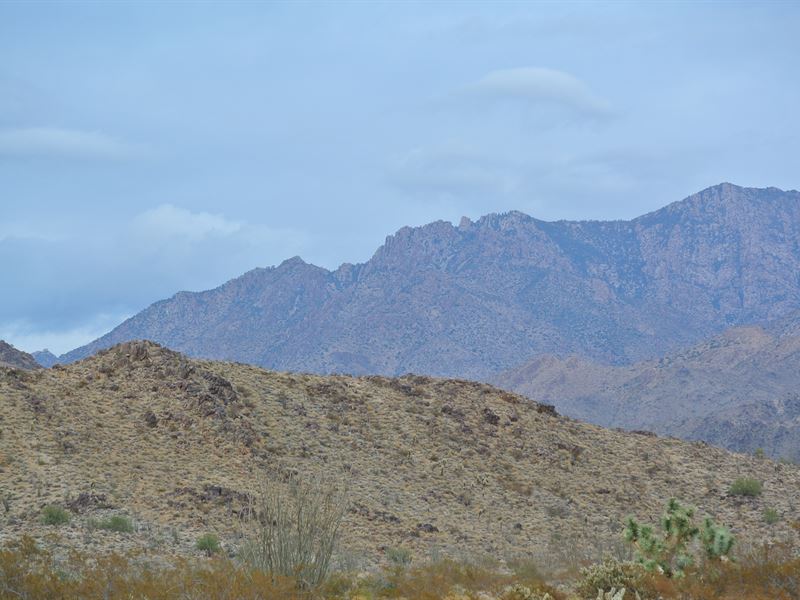 Secure Your Future This Summer : Yucca : Mohave County : Arizona