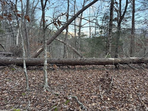 2 Side by Side Lots, Mountain Views : Sevierville : Sevier County : Tennessee