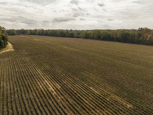 500.64 Acre Farm In Coahoma/Quitman : Jonestown : Coahoma County : Mississippi