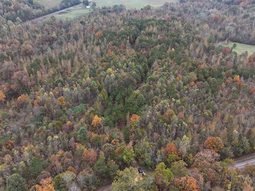 Jamestown Tract 6 : Gaylesville : Cherokee County : Alabama