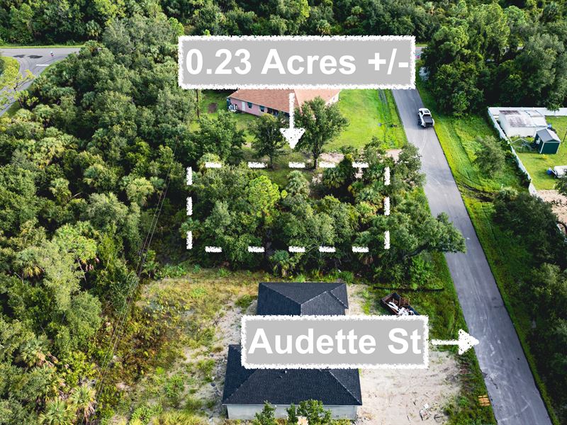 Thriving Port Charlotte Location : Port Charlotte : Charlotte County : Florida