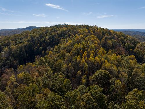 McGullion Mountain Tract : Pickens : South Carolina