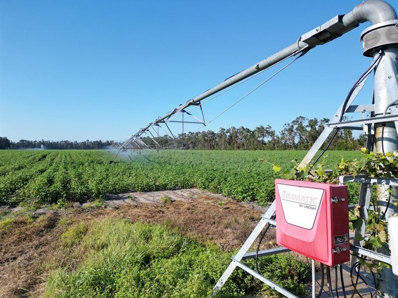 Barrington Farms : Mayo : Lafayette County : Florida