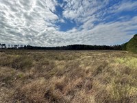 Reduced 98 Acres Open and Wooded : Keysville : Burke County : Georgia