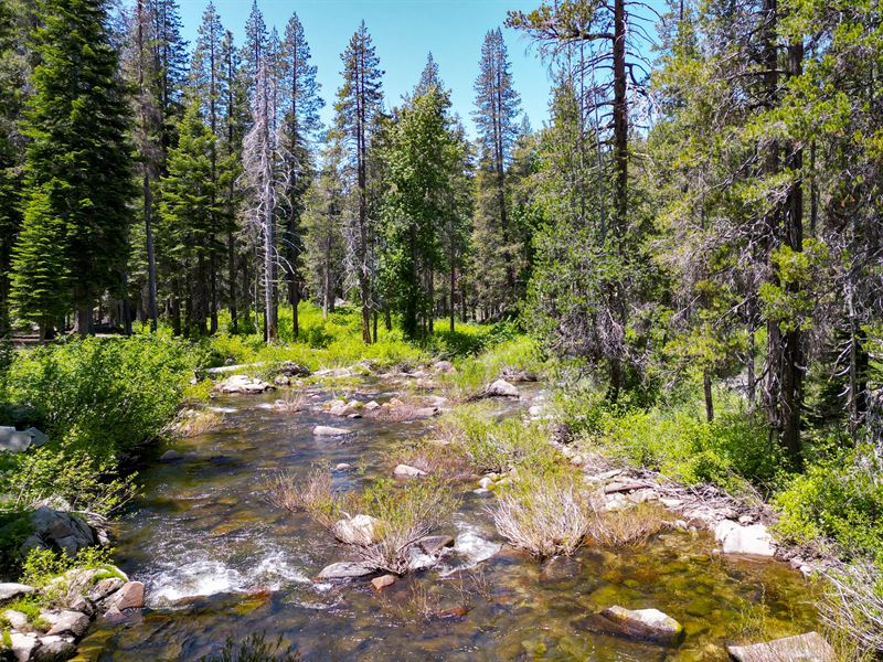 Riverfront : Soda Springs : Nevada County : California