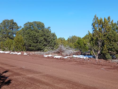 1.12 Acres Near Show Low : Vernon : Apache County : Arizona