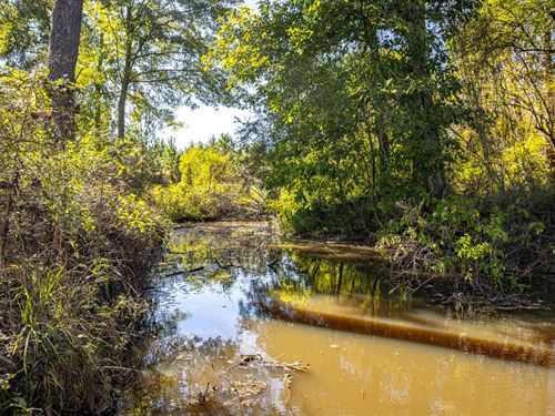 Hunting And Homesite With Creek : Osyka : Pike County : Mississippi