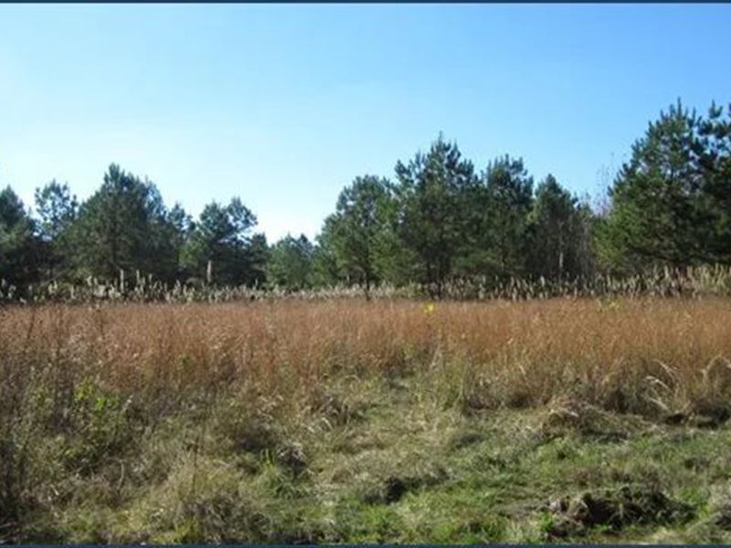 38 Acres in Tippah County in Tipler : Tiplersville : Tippah County : Mississippi