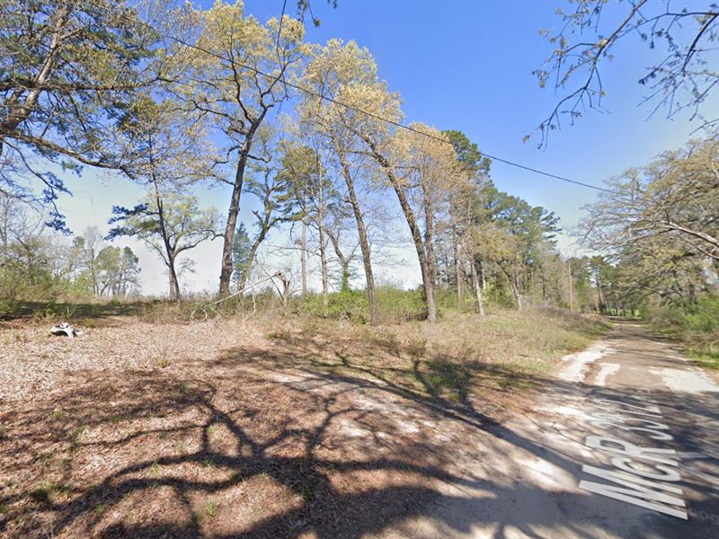 .22 Acre Lot in Marion County, TX : Jefferson : Marion County : Texas