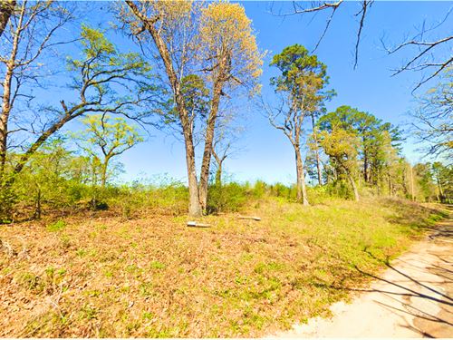 3.1 Acres Near Caddo Lake -Last Lot : Jefferson : Marion County : Texas