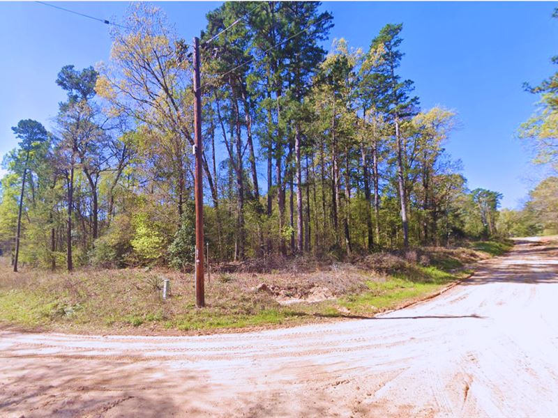 Near Caddo Lake, Last Lot .22 Acres : Jefferson : Marion County : Texas